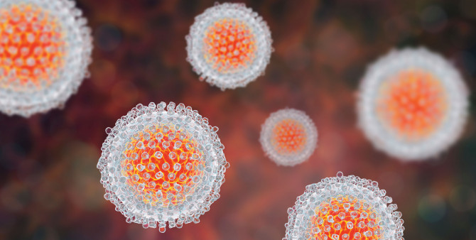 Hepatitis C virus model, 3D illustration.