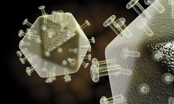 illustration of hiv virus