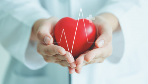 Female medical doctor holding red heart shape in hand with graphic of heart beat, cardiology and insurance concept