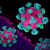 Layout featuring colorized 3D prints of HIV virus particles (pink with teal surface proteins) and a background image that is a colorized transmission electron micrograph of HIV virus particles (pink) budding and replicating from an H9 T cell (purple). Mic