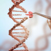 illustration dna hand and tweezers adding a piece of DNA